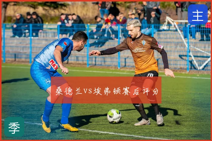 桑德兰vs埃弗顿赛后评分