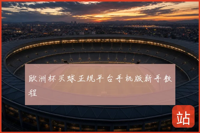 欧洲杯买球正规平台手机版新手教程