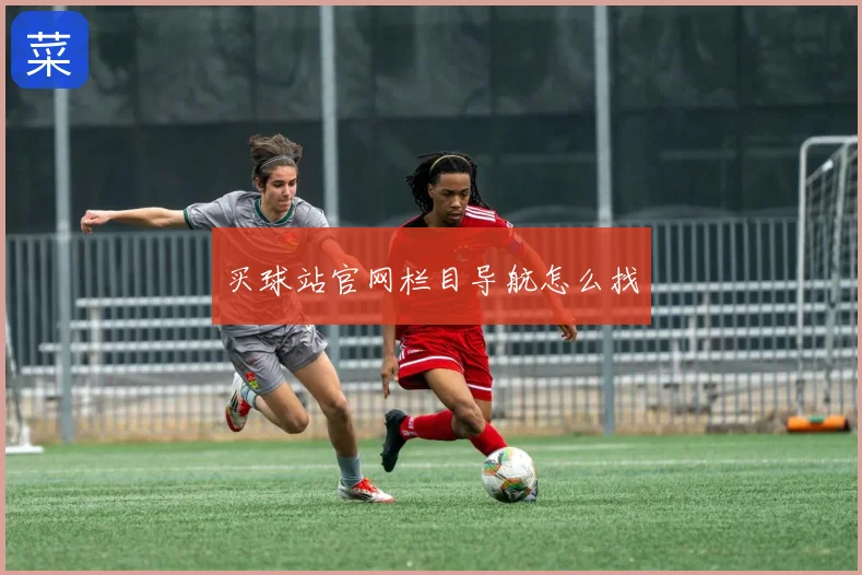 买球站官网栏目导航怎么找
