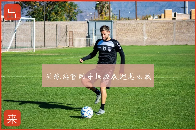 买球站官网手机版欢迎怎么找
